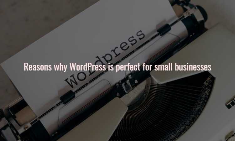 Reasons why WordPress is perfect for small businesses