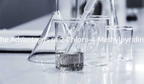 The Advantages of 2-Chloro-4-Methylpyridine