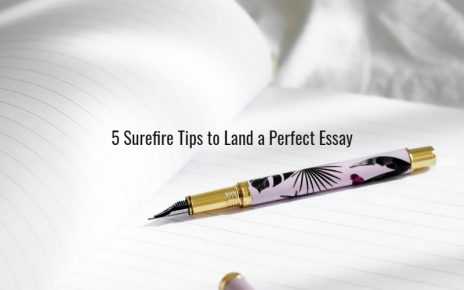 5 Surefire Tips to Land a Perfect Essay